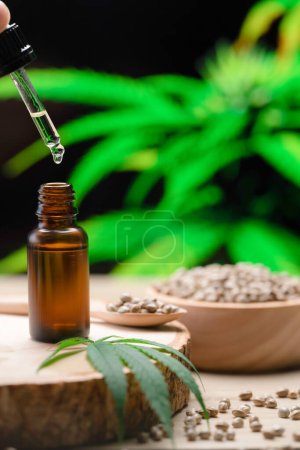 Water drop of CBD oil on the tip of dropper closed to bottle with a hemp leaf in the background. Cannabis has been legalized for medical use to treat illness.
