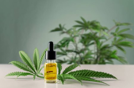 Photo for Legalized CBD oil in the glass container arranged together with green sativa hemp on empty background for copyspace in advertising and commercial. - Royalty Free Image