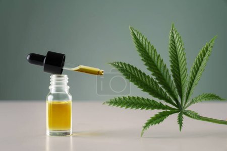 Cannabis sativa Hanfblatt mit Behälter mit CBD-Öl mit Tropfdeckel auf weißem Hintergrund. Legalisiertes Marihuana-Konzept.