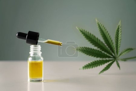 Cannabis sativa hemp leaf with container of CBD oil with dropper lid on white background. Legalized marihuana concept.