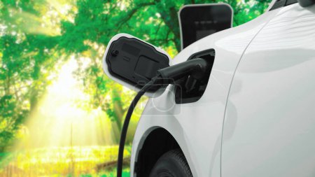 Progressive Kampagne zur Steigerung des Umweltbewusstseins für Elektroautos, die mit erneuerbarer und sauberer Energie aus Ladestationen im grünen Wald betrieben werden. Elektroauto für das Auto der Zukunft.