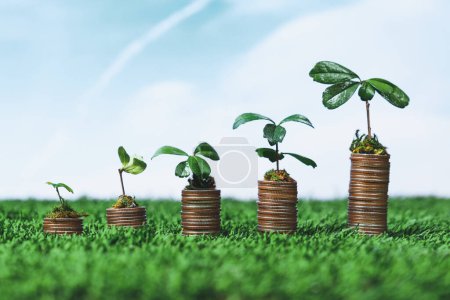 Photo for Eco business investment or environment conservation subsidize concept, coin stack with soil and seedlings growing on top. Sustainable financial growth of environmental awareness or life savings. Alter - Royalty Free Image