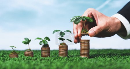 Corporate business invests in environmental subsidies with hand grow seedlings on coin stack for natural awareness. Eco subsidized growth investment for environment protection and clean energy. Alter