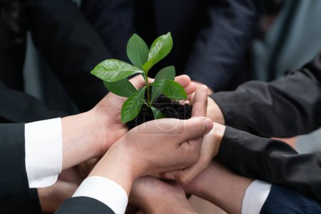 Photo for Eco-friendly investment on reforestation by group of business people holding plant together in office promoting CO2 reduction and natural preservation to save Earth with sustainable future. Quaint - Royalty Free Image
