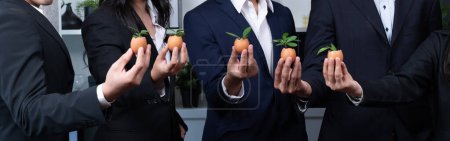 Photo for Sustainable eco-friendly business investment on forest regeneration by group of business people holding plant together in office promoting CO2 reduction and natural preservation. Panoramic view.Quaint - Royalty Free Image