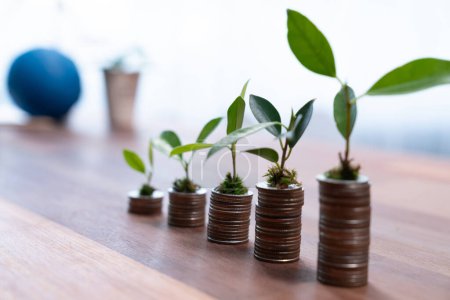 Organic money growth investment concept shown by stacking piles of coin with sprout or baby plant on top. Financial investments rooted and cultivating wealth in harmony with nature. Quaint