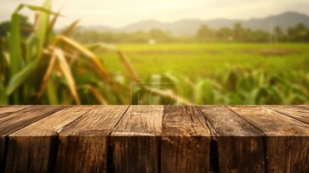 Téléchargez les photos : Le plateau brun en bois vide avec fond flou de plantation de canne à sucre. Image exubérante. - en image libre de droit
