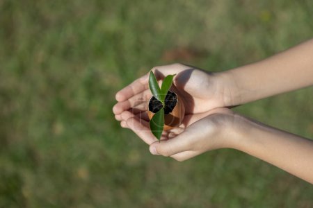 Téléchargez les photos : Les enfants tenant à la main une coquille d'oeuf réputée transformée en pot d'engrais, symbolisant l'engagement à nourrir et à cultiver des pousses ou des plantes en tant que gouvernance sociale environnementale pour les générations futures. Pneumatique - en image libre de droit