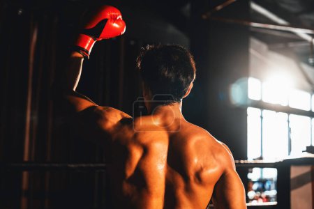 Téléchargez les photos : Vue arrière du boxeur thaïlandais victorieux Muay frappe pose triomphante, se prélassant dans la gloire de sa victoire durement gagnée affichant fièrement son corps fort et musclé. Impulsion - en image libre de droit
