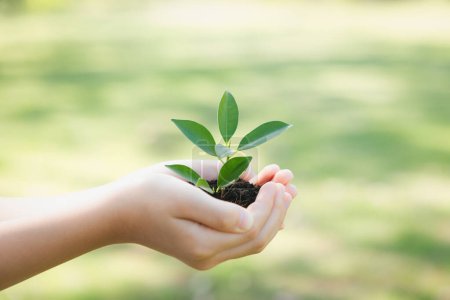 Photo for Promoting eco awareness on reforestation and long-term environmental sustainability with boy holding plant or sprout on fertile soil as nurturing greener nature for sustainable future. Gyre - Royalty Free Image