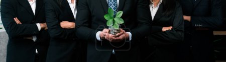 Photo for Sustainable eco-friendly business investment on forest regeneration by group of business people holding plant together in office promoting CO2 reduction and natural preservation. Panoramic view.Quaint - Royalty Free Image