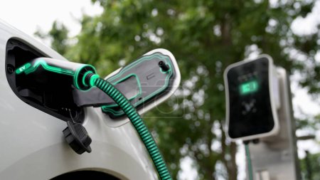 Photo for Electric car plugged in with charging station to recharge battery with electricity by EV charger cable in eco green park and greenery foliage. Future innovative ev car and energy sustainability.Peruse - Royalty Free Image
