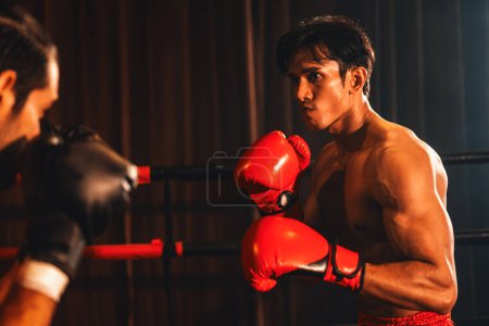 Téléchargez les photos : Le boxeur asiatique et caucasien Muay Thai libère son pouvoir dans un match de boxe féroce. boxer thaïlandais avec un corps musclé fort échangeant poinçon et frapper avec des prouesses de combat implacables. Impulsion - en image libre de droit