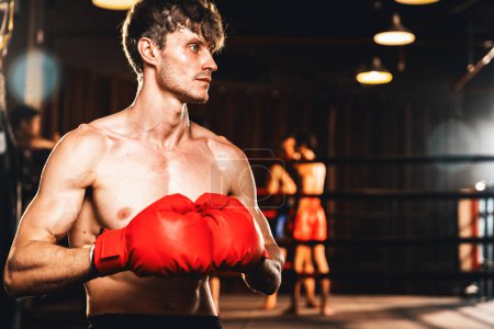 Photo for Boxing fighter posing, caucasian boxer put his hand or fist wearing glove together in front of camera in aggressive stance and ready to fight at gym with kicking bag and boxing equipment. Impetus - Royalty Free Image