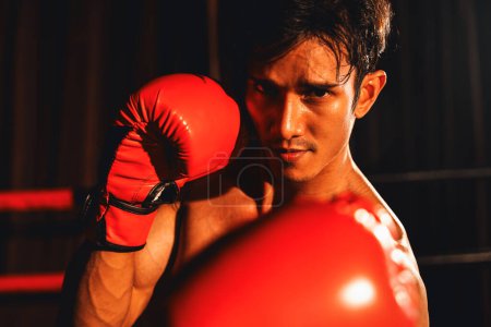 Photo for Muay Thai boxer punch his fist in front of camera in ready to fight stance posing at gym with boxing equipment in background. Focused determination eyes and prepare for challenge. Impetus - Royalty Free Image