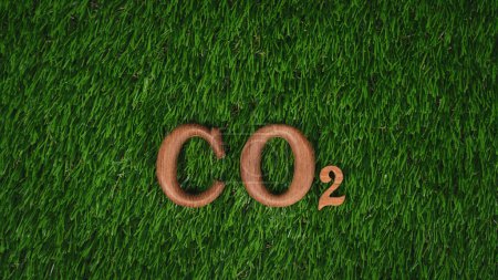 Téléchargez les photos : Texte de l'alphabet en bois en CO2 sur fond de conception d'herbe verte biophile comme éco-symbole pour encourager le message pour la campagne de réduction du crédit carbone et la sensibilisation à l'environnement. Pneumatique - en image libre de droit