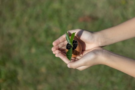 Téléchargez les photos : Les enfants tenant à la main une coquille d'oeuf réputée transformée en pot d'engrais, symbolisant l'engagement à nourrir et à cultiver des pousses ou des plantes en tant que gouvernance sociale environnementale pour les générations futures. Pneumatique - en image libre de droit
