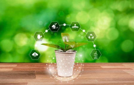 Téléchargez les photos : Une plante verte avec une icône de design éco-numérique symbolise une pratique respectueuse de l'environnement avec l'engagement ESG de réduire les émissions de carbone en utilisant une énergie propre et durable. Dépendance - en image libre de droit