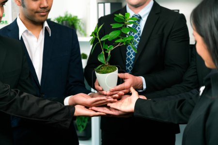 Photo for Eco-friendly investment on reforestation by group of business people holding plant together in office promoting CO2 reduction and natural preservation to save Earth with sustainable future. Quaint - Royalty Free Image