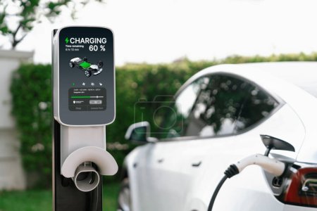 Photo for Closeup EV charger plug handle attached to electric vehicle port, recharging battery from charging station. Modern designed EV car and clean energy sustainability for better future concept. Synchronos - Royalty Free Image
