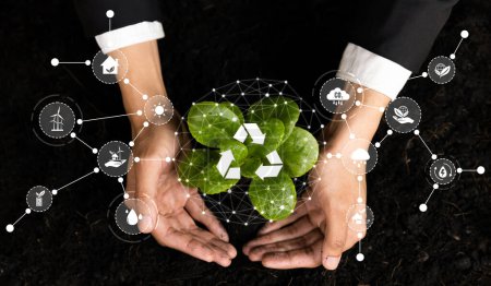 Photo for Businessman nurturing and growing plant seedling with recycle symbol. Business commitment and investing in natural and environmental protection future sustainable ecosystem. Panorama Reliance - Royalty Free Image
