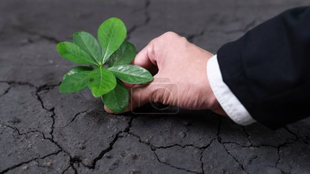 Téléchargez les photos : Homme d'affaires cultiver et cultiver des plantes sur le concept de sol fertilisé de l'éco-entreprise engagée dans la responsabilité sociale des entreprises, réduire les émissions de CO2 et adopter le principe ESG pour un avenir durable. Pneumatique - en image libre de droit