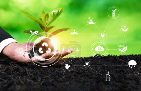 Photo for Businessman nurturing and growing plant seedling with recycle symbol. Business commitment and investing in natural and environmental protection future sustainable ecosystem. Reliance - Royalty Free Image