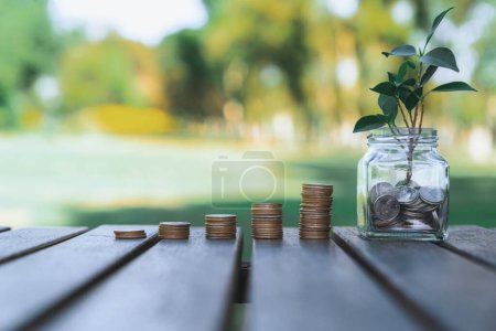 Photo for Concept of sustainable money growth investment with glass jar filled with money savings and coin stack represent eco-friendly financial investment nurtured with nature. Gyre - Royalty Free Image
