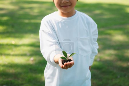 Photo for Promoting eco awareness on reforestation and long-term environmental sustainability with asian boy holding sprout. Nurturing greener nature for future generation with sustainable ecosystem. Gyre - Royalty Free Image