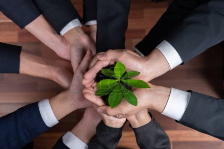 Photo for Panoramic banner top view business investment on reforestation by group of people holding plant together promoting CO2 reduction and natural preservation to save Earth with sustainable future. Quaint - Royalty Free Image