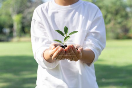 Photo for Promoting eco awareness on reforestation and long-term environmental sustainability with asian boy holding sprout. Nurturing greener nature for future generation with sustainable ecosystem. Gyre - Royalty Free Image