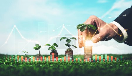 Photo for Businessman plant seedling on top of growing coin stack on sky background as ESG investment with sustainable growth potential lead to profitable financial return and environmental protection. Reliance - Royalty Free Image