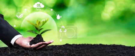 Téléchargez les photos : Homme d'affaires nourrissant la plante avec l'icône de l'éco-conception symbolisent l'engagement envers les entreprises environnementales, la culture de plantes pour réduire les émissions de carbone pour un avenir durable. Dépendance au panorama - en image libre de droit
