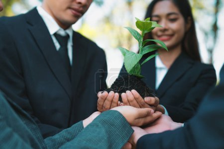 Business people hold plant together in unity and teamwork concept of eco company committed to corporate social responsible, reducing CO2 emission, embrace ESG principle for sustainable future. Gyre