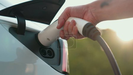 Photo for Closeup man recharging battery for electric car during road trip travel EV car in natural forest or national park with sunrise lighting. Eco friendly travel during vacation and holiday. Exalt - Royalty Free Image