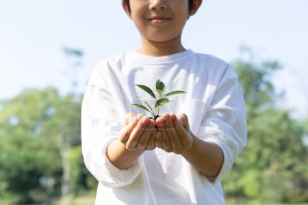 Foto de Promover la conciencia ecológica sobre la reforestación y la sostenibilidad ambiental a largo plazo con el niño asiático sosteniendo brotes. Fomentar una naturaleza más ecológica para las generaciones futuras con un ecosistema sostenible. Gyre. - Imagen libre de derechos