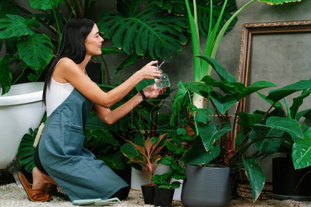 Téléchargez les photos : Jeune jardinière s'occupant et arrosant doucement les plantes tropicales dans un jardin de feuillage exotique estival minimaliste de style architectural en béton, jardinage à la maison pour un mode de vie écologiste. Blithe - en image libre de droit