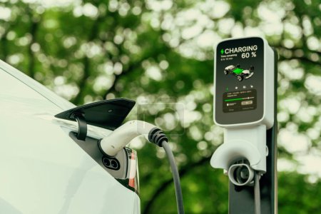 Batterie de recharge de véhicule électrique EV à partir de la station de charge EV dans le parc national ou paysage forestier extérieur. Protection naturelle avec voiture écologique EV Voyage dans les bois d'été. Exalt.
