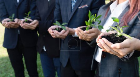 Photo for Business people hold plant together in unity and teamwork concept of eco company committed to corporate social responsible, reducing CO2 emission, embrace ESG principle for sustainable future. Gyre - Royalty Free Image
