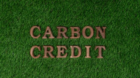 Arranged wooden alphabet text in CO2 on biophilic green grass design background as eco symbol for encouraging message for carbon credit reduction campaign and environmental awareness. Gyre