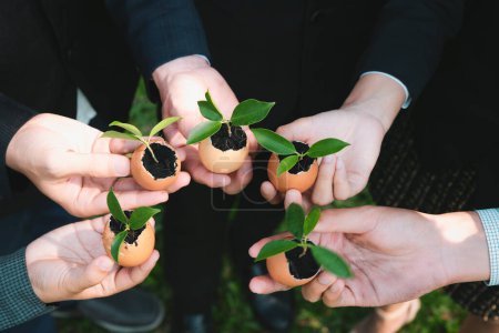 Gruppe von Geschäftsleuten, die umfunktionierte Eierschalen in Düngemittel-Töpfe halten, symbolisieren das Engagement, im Rahmen eines Wiederaufforstungsprojekts Sprossen oder Babypflanzen zu züchten und anzubauen. Kreisel