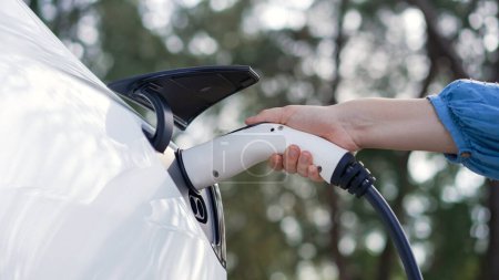 Téléchargez les photos : Gros plan femme recharger batterie de voitures électriques EV au parking dans le parc naturel vert. Technologie d'énergie propre pour véhicule rechargeable pour un voyage durable et respectueux de l'environnement. Perpétuel - en image libre de droit