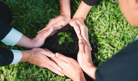 Foto de Grupo de vista superior de empresarios crecen y cultivan plantas juntos en el concepto de suelo fertilizado de la empresa ecológica comprometida con la RSE principio de responsabilidad social corporativa, la reducción de las emisiones de CO2. Gyre. - Imagen libre de derechos