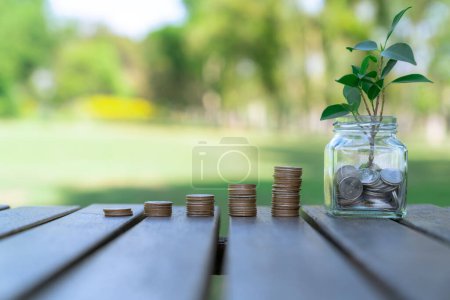 Konzept der nachhaltigen Geldanlage mit Glasgefäß gefüllt mit Ersparnissen und Münzstapel stellen eine umweltfreundliche Geldanlage dar, die mit der Natur gepflegt wird. Kreisel