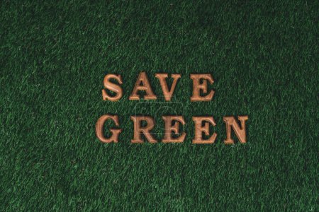 Téléchargez les photos : Alphabet en bois organisé dans la conception de la campagne de sensibilisation ECO sur fond d'herbe verte biophilie pour promouvoir la protection de l'environnement pour un avenir plus vert et durable. Pneumatique - en image libre de droit
