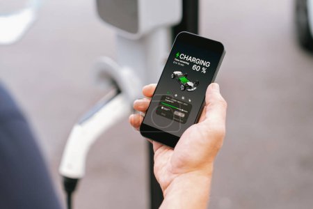 Homme utilisant smartphone application bancaire en ligne pour payer la charge de la batterie de voiture électrique à partir de la station de charge EV pendant le voyage de vacances sur la route dans le parc national ou la forêt d'été. Exalt.