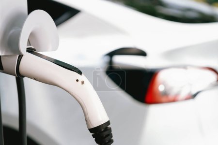 Photo for Closeup EV plug charger attached to EV car for battery recharging from electric charging station using clean and sustainable energy. Natural protection and eco friendly car travel concept. Exalt - Royalty Free Image