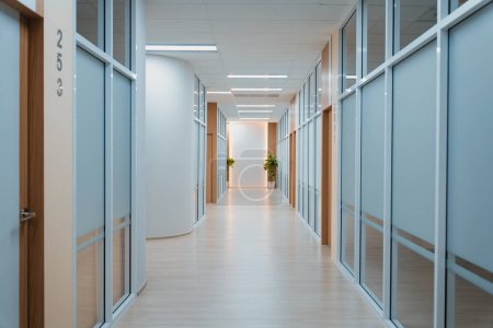 Photo for Empty modern office bright corridor with glass wall. Long white modern office hallway. No businesspeople. Many glass wall and doors. White bright empty workplace corridor background. Ornamented. - Royalty Free Image