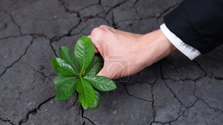 Homme d'affaires cultiver et cultiver des plantes sur le concept de sol fertilisé de l'éco-entreprise engagée dans la responsabilité sociale des entreprises, réduire les émissions de CO2 et adopter le principe ESG pour un avenir durable. Pneumatique