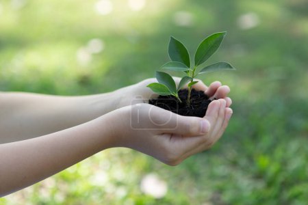 Photo for Promoting eco awareness on reforestation and long-term environmental sustainability with boy holding plant or sprout on fertile soil as nurturing greener nature for sustainable future. Gyre - Royalty Free Image